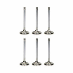 Engine Valves