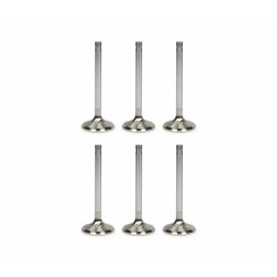 Engine Valves