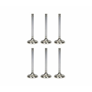 Engine Valves