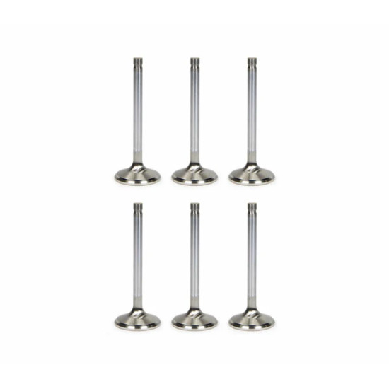 Engine Valves