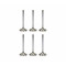 Engine Valves