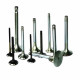 Engine Valves