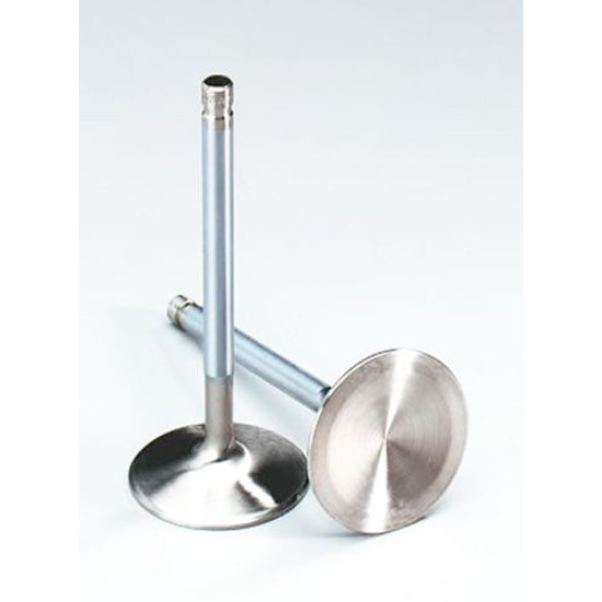 Engine Valves