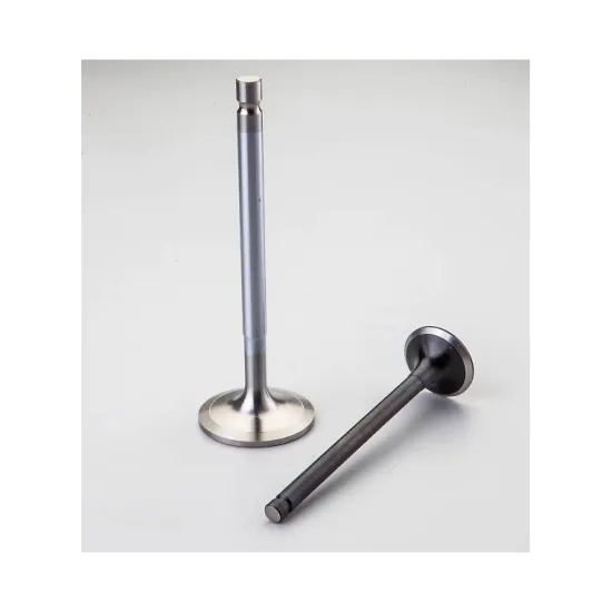 Engine Valves